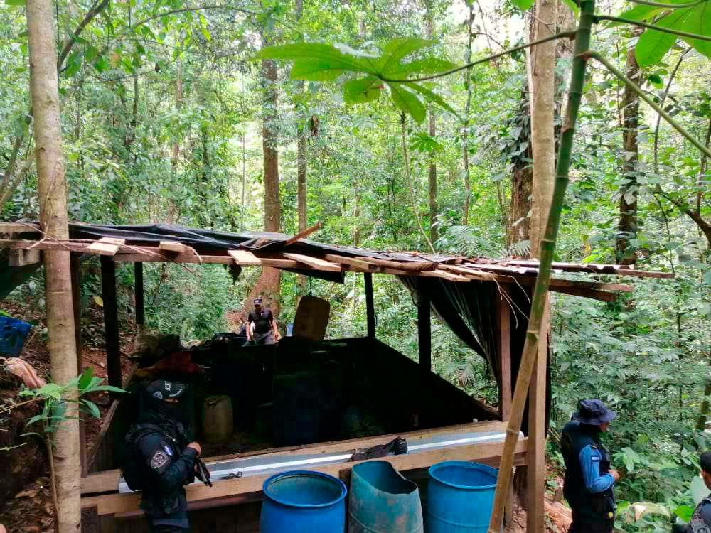 Quince narcolaboratorios destruidos en las montañas