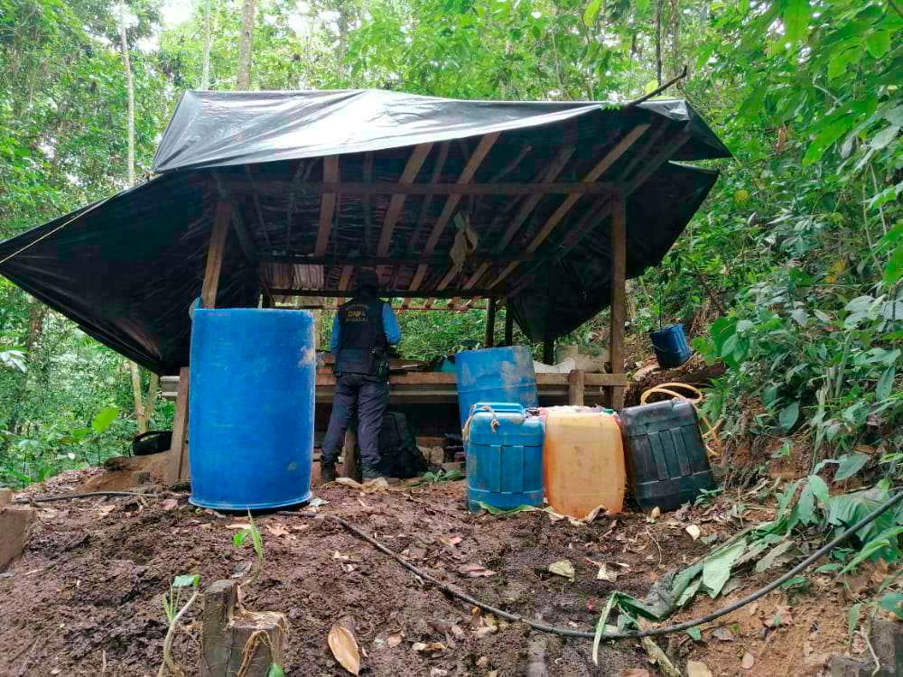 Quince narcolaboratorios destruidos en las montañas