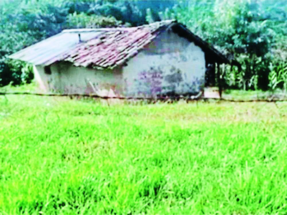 Asesinan a menor y a su cuñado en Intibucá