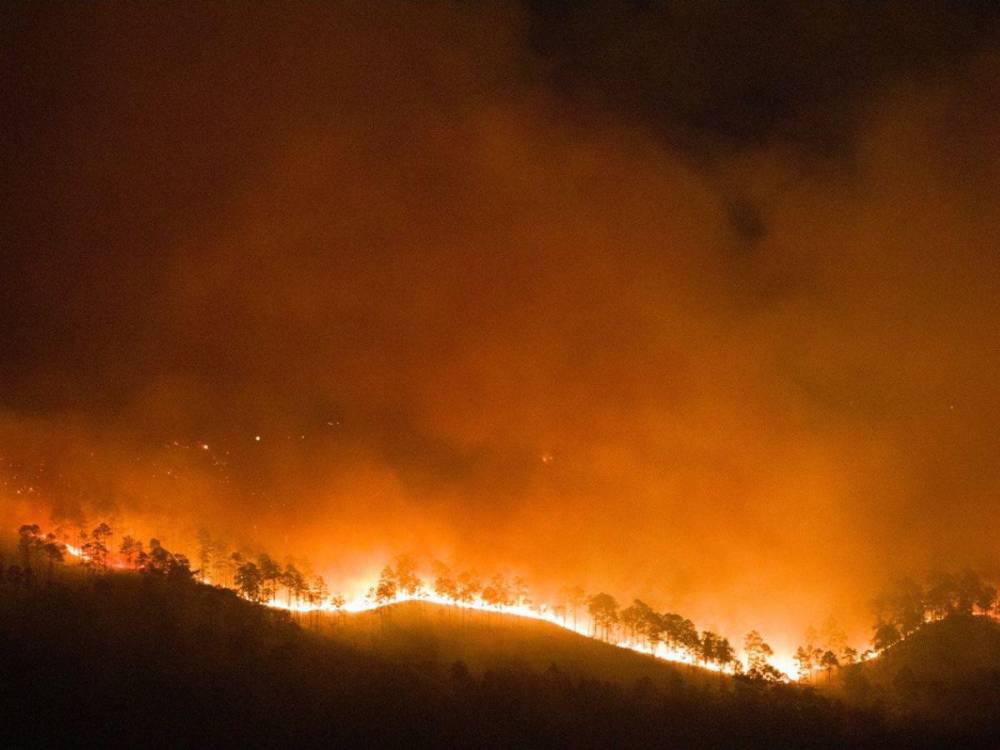 Poderoso incendio arrasa parte del cerro El Trigo