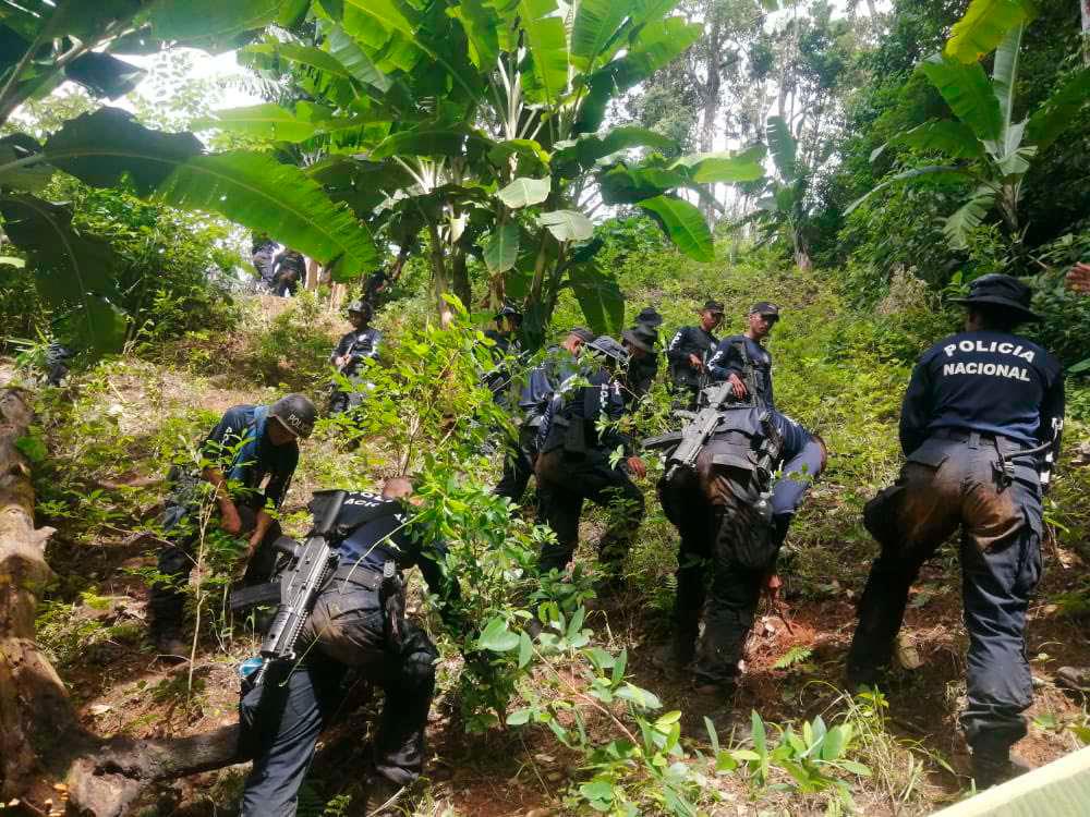 Quince narcolaboratorios destruidos en las montañas