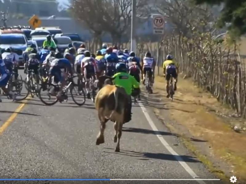 Los ciclistas tuvieron que sacar todos reflejos.