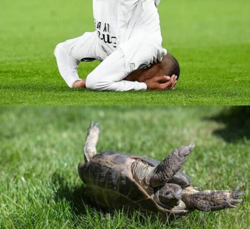 Mbappé fue el villano del Real Madrid al errar un lanzamiento penal cuando el cuadro blanco perdía por la mínima diferencia. 