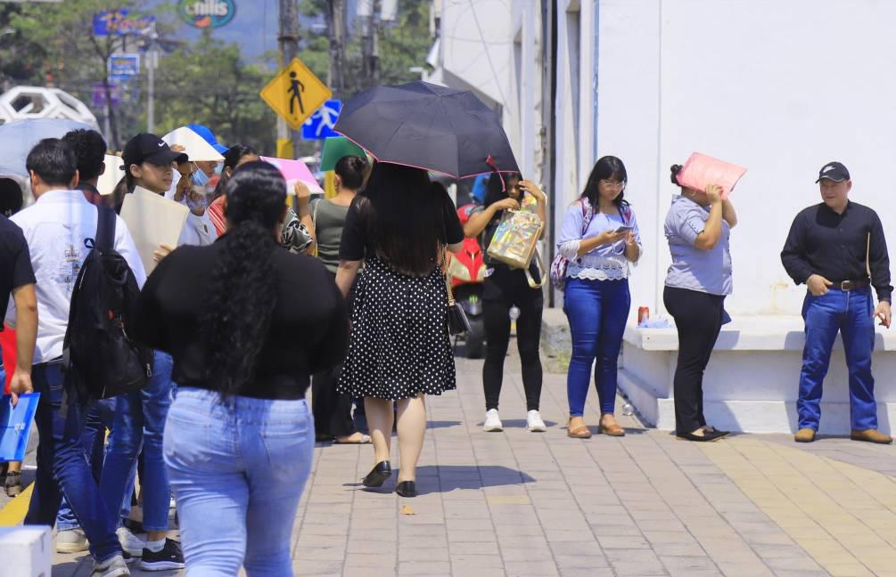 Explora las oportunidades de empleo que ofrece la Secretaría de Trabajo