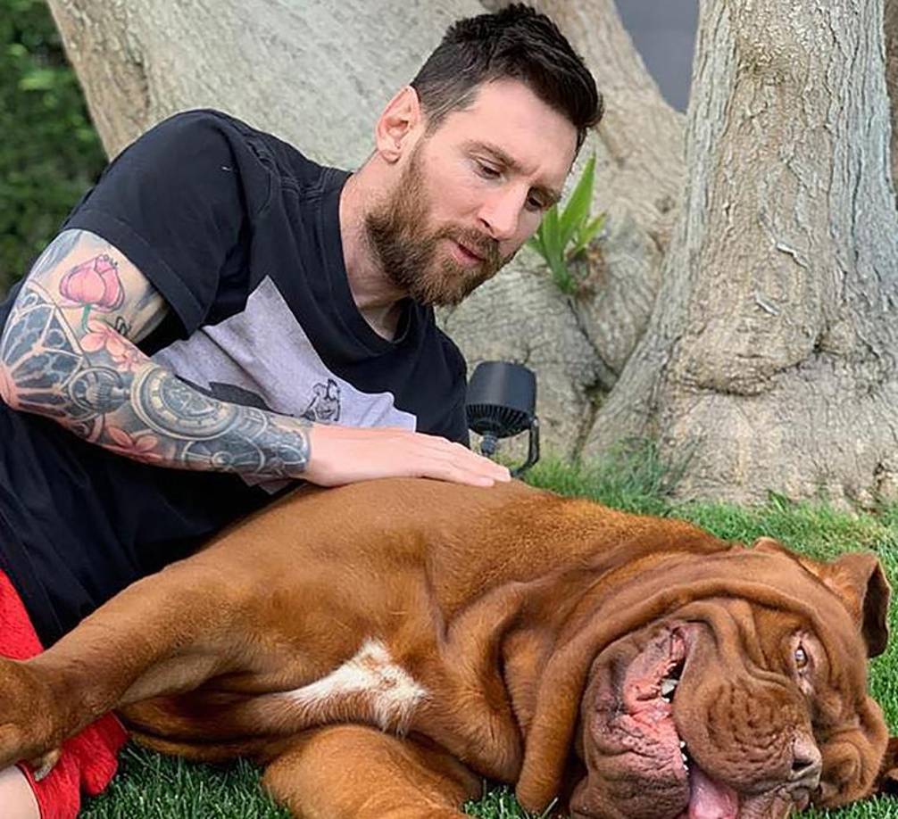 Le pregunté dónde está el ‘toro ese’ y me dijo que en Barcelona”, señaló Miguel Granados. 