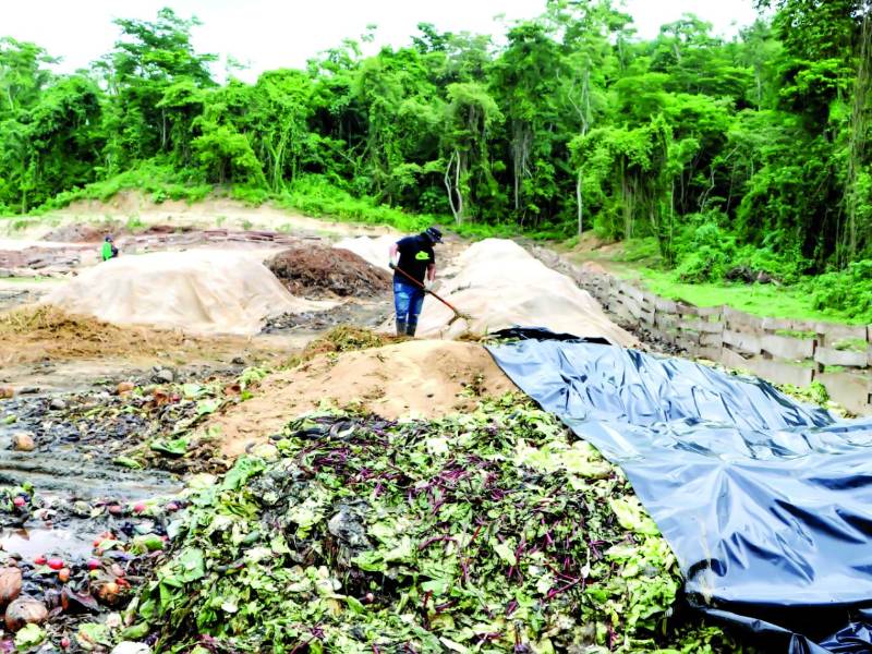 Los desechos tardan entre cuatro a cinco meses en descomponerse de acuerdo al proceso que llevan, informan encargados.