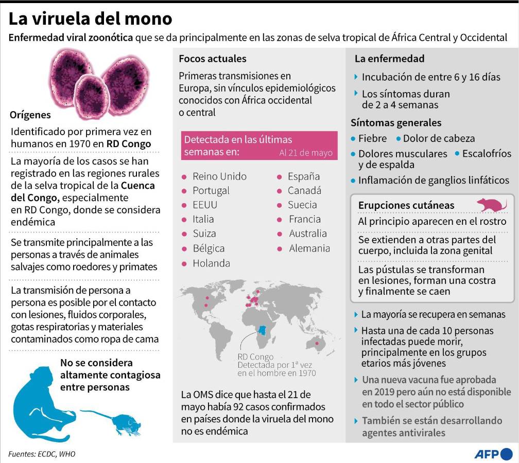 Viruela del mono se expande en diferentes países del mundo. Infografía: AFP