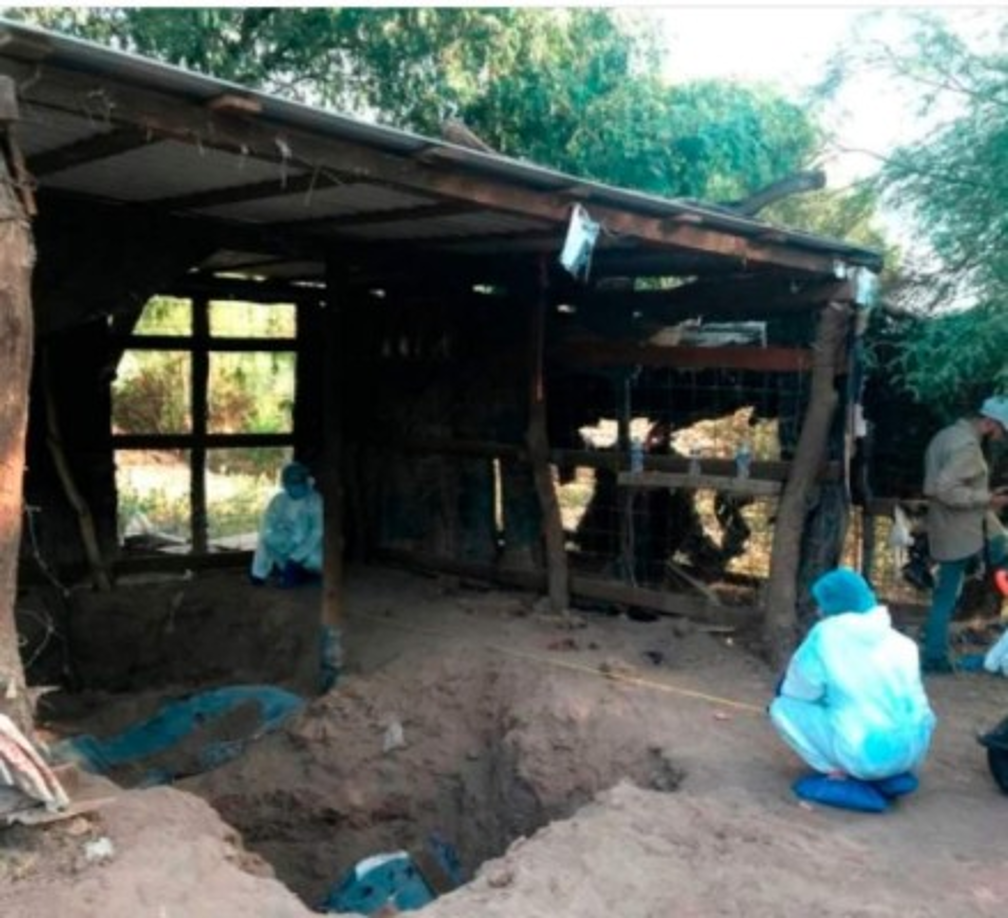 Las osamentas se localizaron en un predio ubicado en el canal bajo, al sur de la ciudad de Sonora, México.