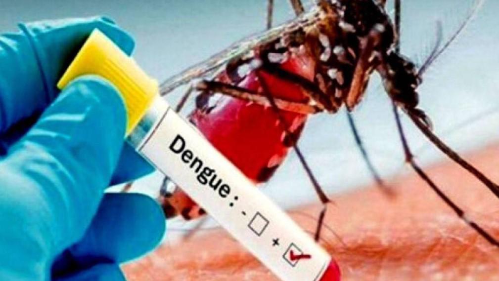 En 143% aumentó incidencia de dengue en el último año en Honduras