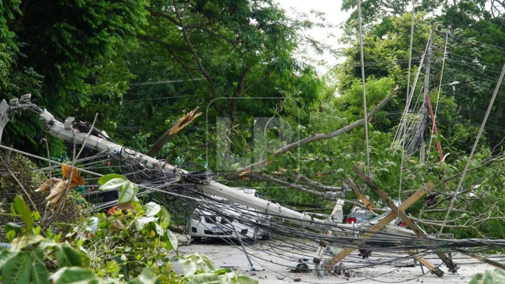 La rama del viejo árbol cayó a eso de las 9:00 am, lo que provocó la caída de dos postes de energía y de empresas de cable. FOTOS: MELVIN CUBAS.