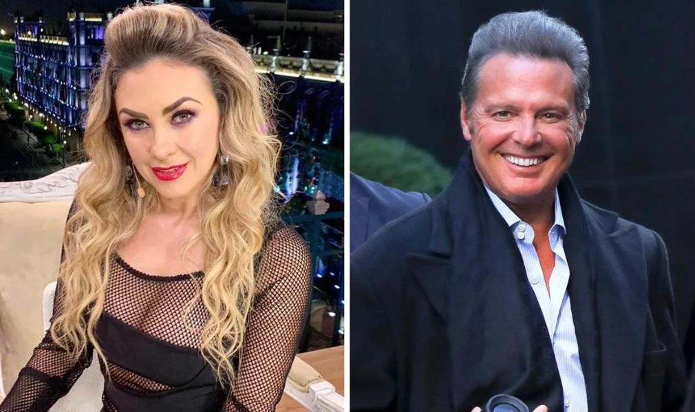Luis Miguel y Aracely Arámbula buscan reconciliación