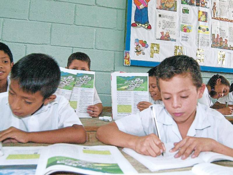 <b><span class=mln_uppercase_mln>Escuelas.</span></b> No hay fomento a la lectura en el sistema educativo.<span class=mln_uppercase_mln> </span>