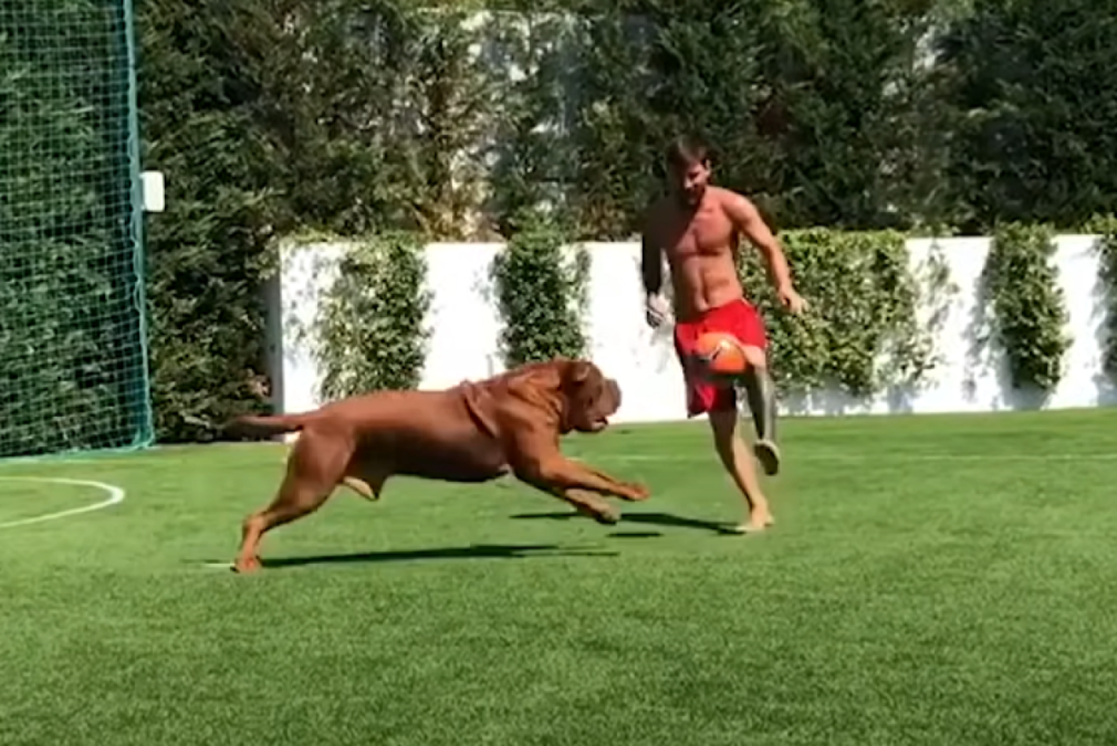 Messi reveló donde y cómo está Hulk, su perro gigante