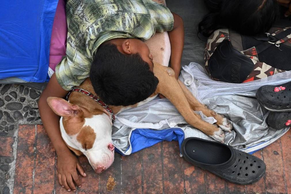  Un migrante venezolano yace con un perro en una carpa en Tegucigalpa.