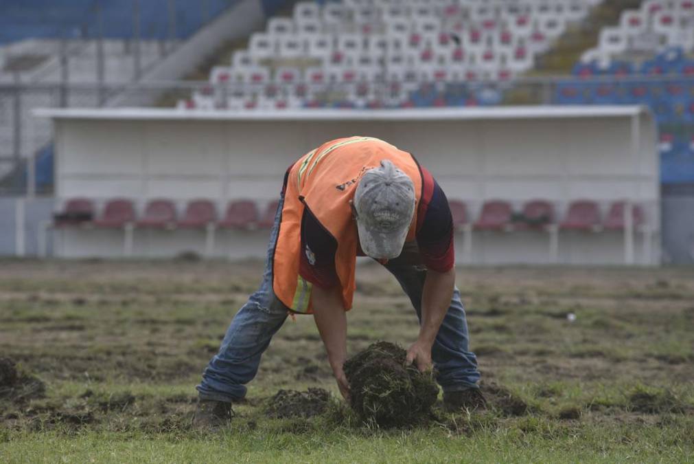 Así remueven la grama del estadio Morazán para colocar la nueva.