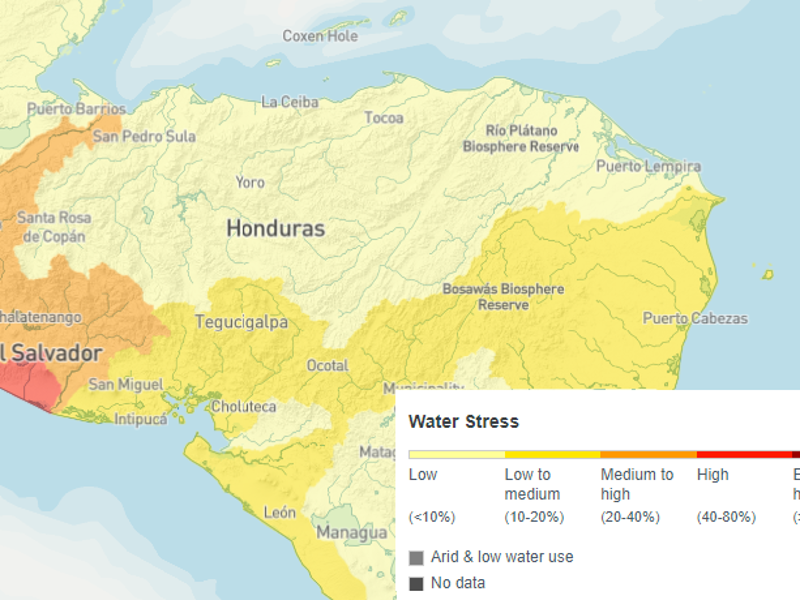 El World Resources Institute (WRI, Instituto de Recursos Mundiales), en la plataforma virtual Atlas de Riesgo Hídrico, pronostica un nivel de estrés hídrico de bajo a medio en Tegucigalpa y municipios del sur y oriente y de medio a alto para el occidente del país y San Pedro Sula.
