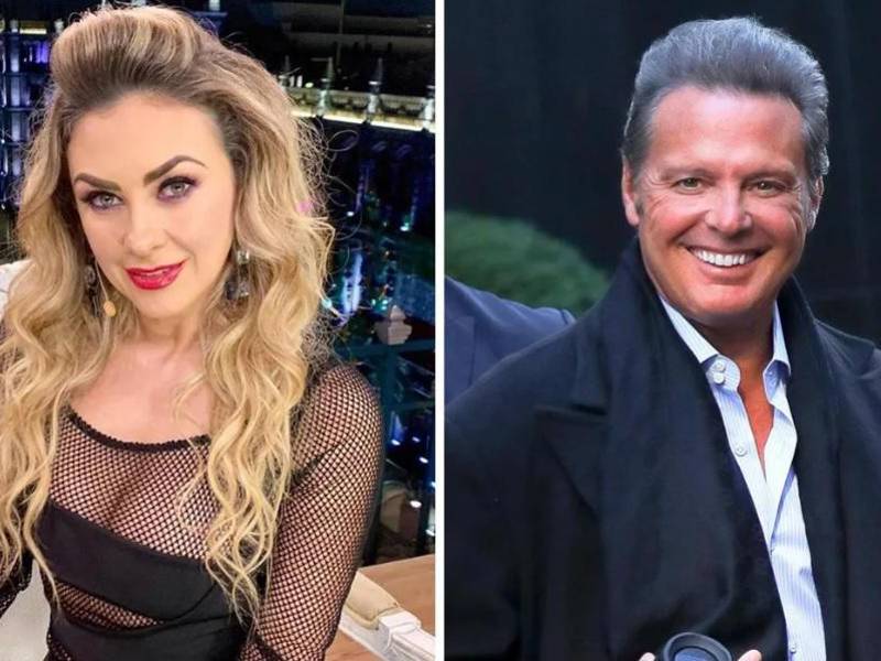 Aracely Arámbula es proteger el futuro de los hijos que tuvo con Luis Miguel, con quien vivió un romance del 2005 al 2009.