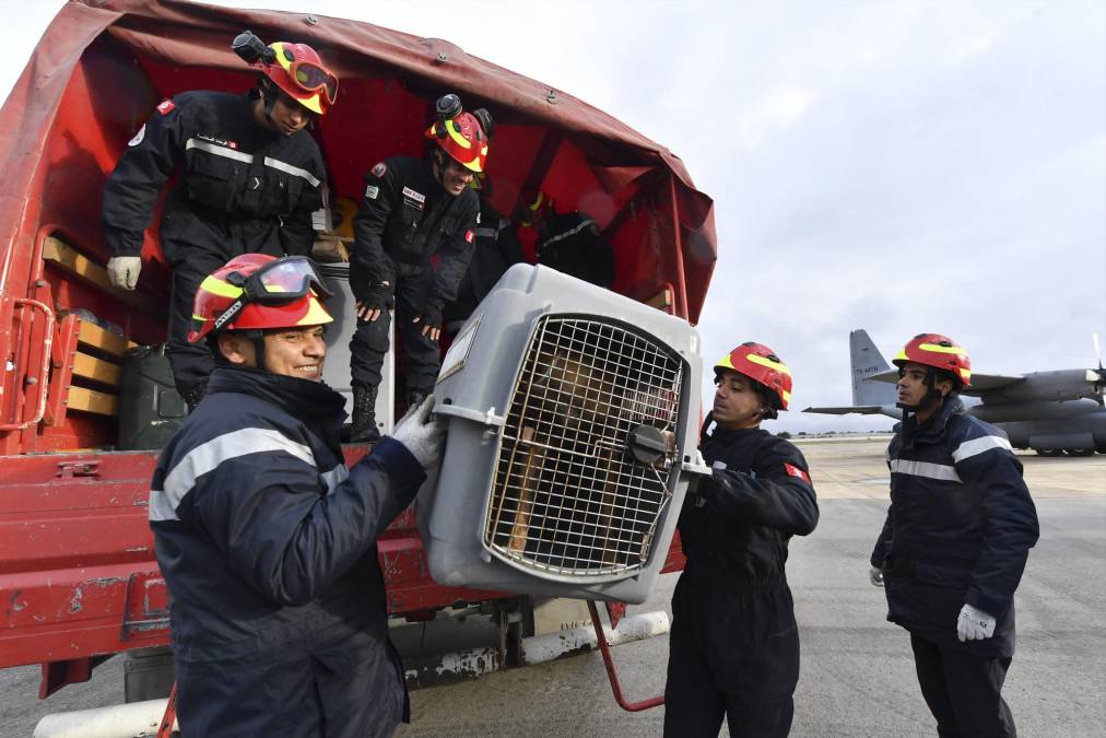 Un total de 19 de los 27 países europeos participan en el despliegue organizado desde el Centro Europeo de Coordinación de Respuesta a Emergencias.