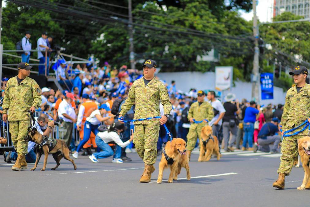 Los K9 también deleitaron a los salvadoreños en el desfile.