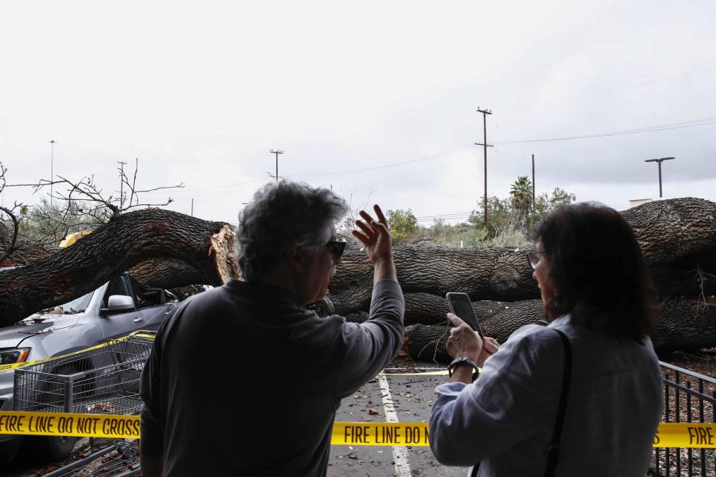  En Santa Cruz, al sur de San Francisco, varias zonas seguían bajo aviso de inundación y la playa de la ciudad seguía el domingo llena de troncos y basura arrastrados por el río San Lorenzo en las dos últimas semanas.