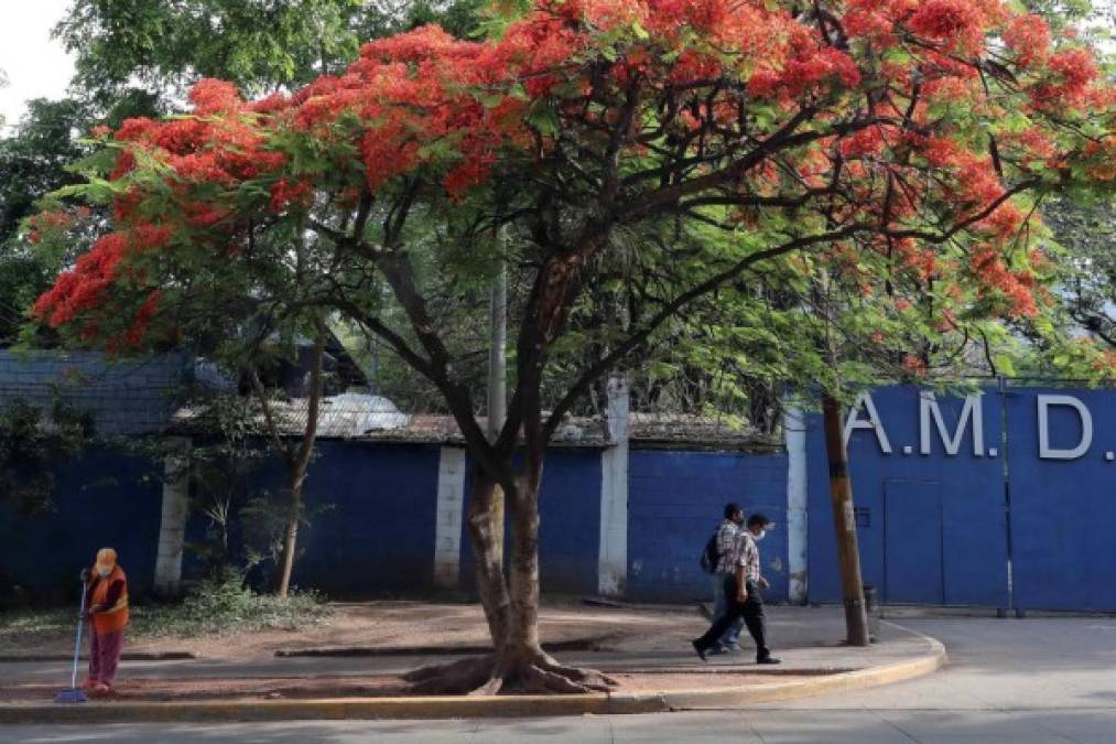 El país, uno de los más vulnerables del mundo a los desastres naturales, no se recupera todavía de los graves destrozos que dejaron en noviembre las tormentas tropicales Eta e Iota en la mayor parte del territorio, aunque con una magnitud más grande en las regiones norte y occidente.