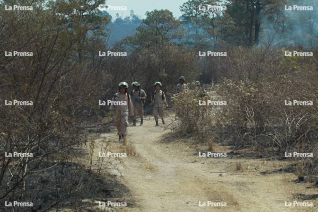 Hasta el momento todo el personal y material involucrado en las labores es hondureño; se han utilizado tanquetas, cisternas de la Policía, Bomberos, Ejército y un helicóptero de la Fuerza Aérea.