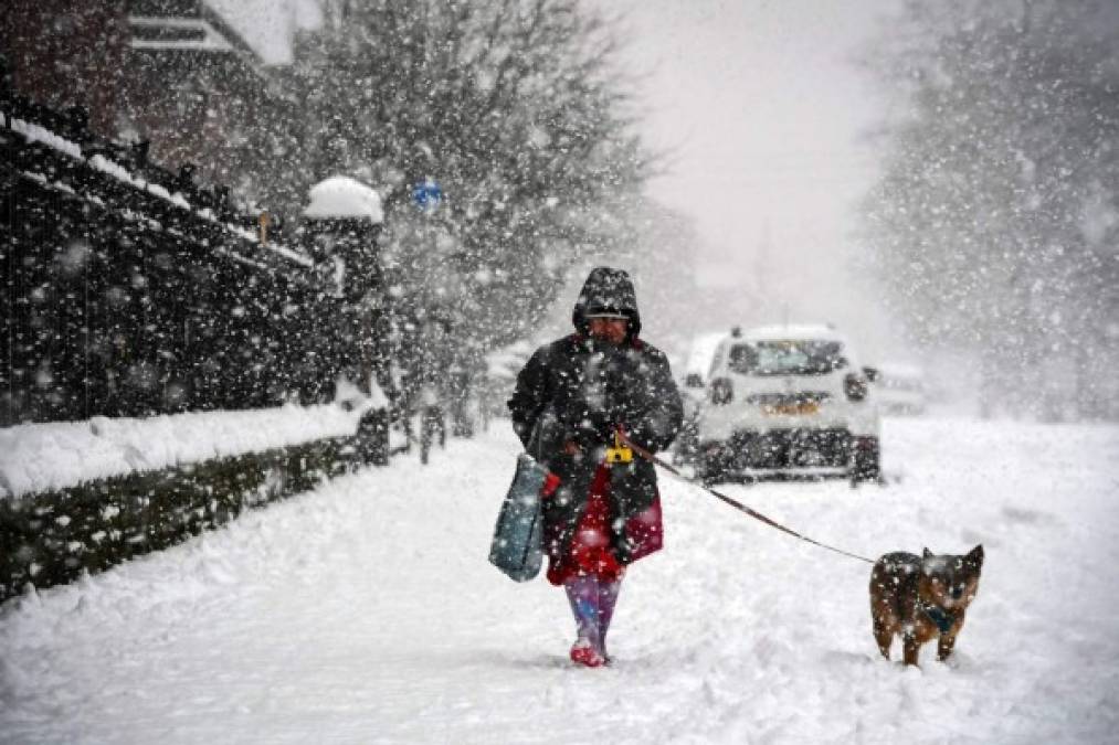 Una tormenta invernal ha causado fuertes nevadas en Reino Unido, Holanda, Alemania, Bélgica y otros países europeos paralizando el tráfico ferroviario, aéreo y rodado, informaron medios locales.