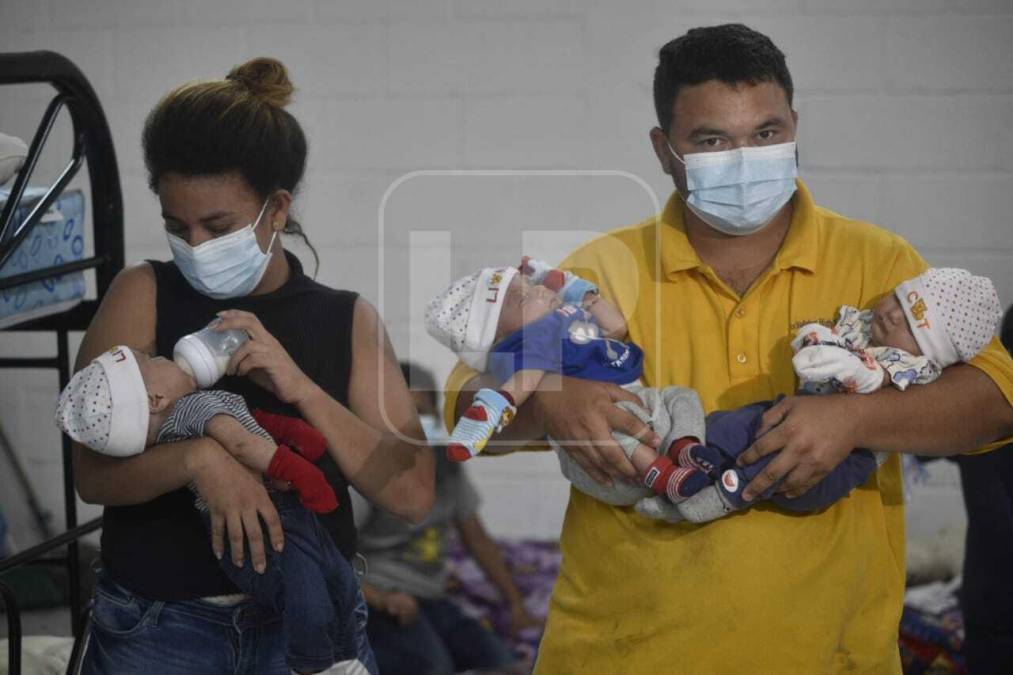 Entre estas familias, hay una de 12 miembros adultos y unos pequeños trillizos de dos meses.