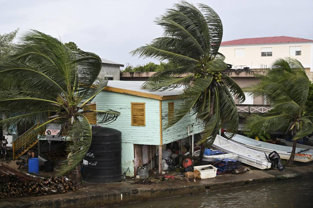 Las primeras imágenes del azote del huracán Lisa en Belice
