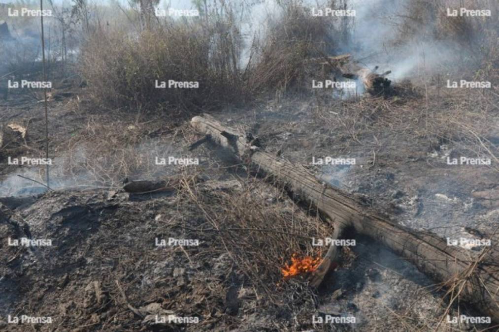 El incendio se reactivó en horas al mediodía del martes, por lo que las autoridades volvieron a la zona para apagar el fuego.