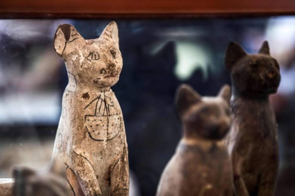 Egipto reveló este fin de semana el descubrimiento de 75 estatuas de madera y bronce y cinco momias de cachorros de león decoradas con jeroglíficos en la necrópolis de Saqqara, cerca de las pirámides de Giza en El Cairo.