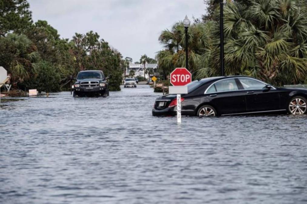 Cocodrilos en las calles dejan las inundaciones por el huracán Sally