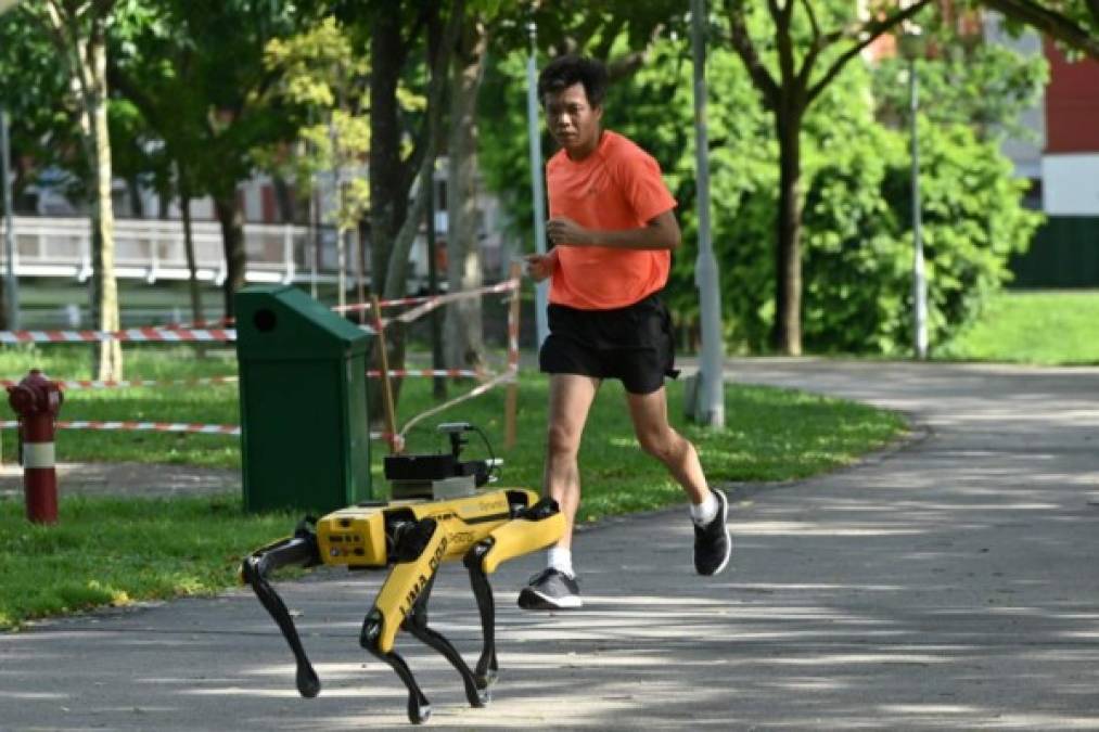 Singapur usa a Spot, un perro-robot que pasea por el parque Bishan-Ang Mo Kio y le recuerda a la gente que debe mantenerse separada por su propia seguridad.