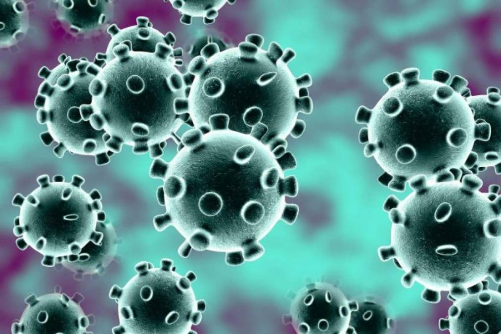 Según la OMS, no se sabe con certeza cuánto tiempo sobrevive el virus causante de la COVID-19 en una superficie, pero parece comportarse como otros coronavirus. Los estudios realizados (incluida la información preliminar disponible sobre el virus de la COVID-19) indican que los coronavirus pueden subsistir en una superficie desde unas pocas horas hasta varios días.