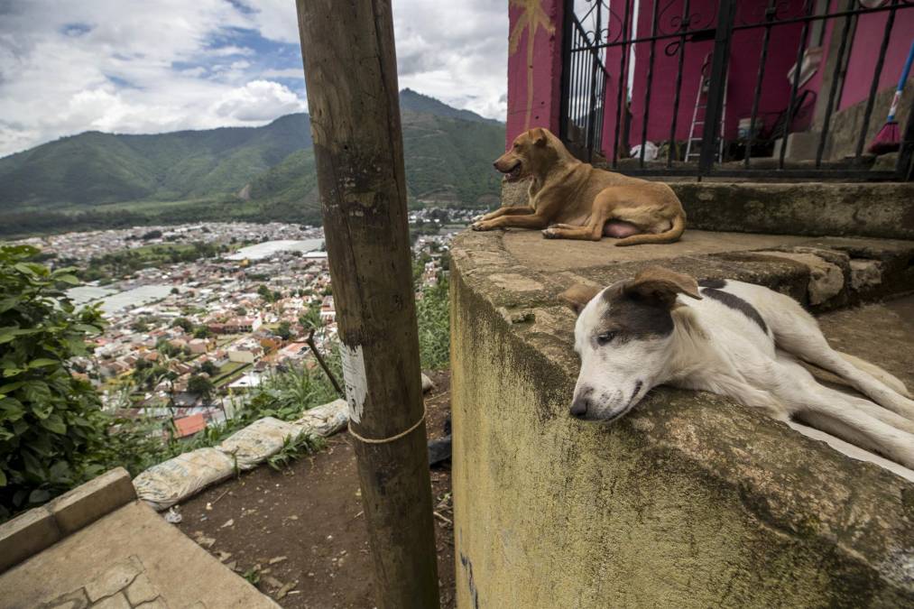 Centroamérica, reino de la pobreza y la desigualdad social (Fotos)