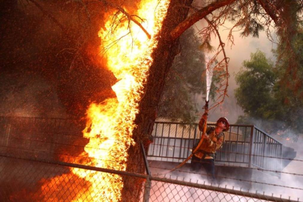 Pero los bomberos indicaron que poco antes de las 22:00 horas (05 GMT), las llamas habían saltado al otro lado del Camino Silverado y el río Napa. E