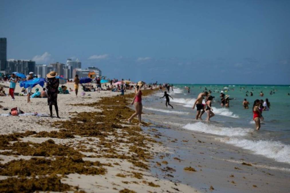 En el condado de Miami-Dade, principal foco de la enfermedad, la cuenta de contagios creció este lunes con el récord de 1.508 nuevos casos y se situó en 35.222, de los cuales 975 han resultado fatales.<br/>