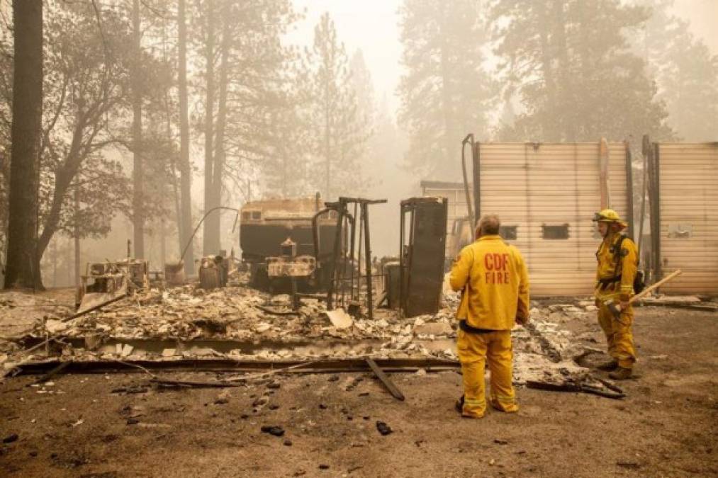 Brown informó que en tan solo tres días, las llamas habían consumido 360.000 hectáreas, el doble de la vegetación que arde en promedio en un año completo. 'Estamos viendo los efectos devastadores del cambio climático en Oregón, en la costa oeste y en todo el mundo', insistió.