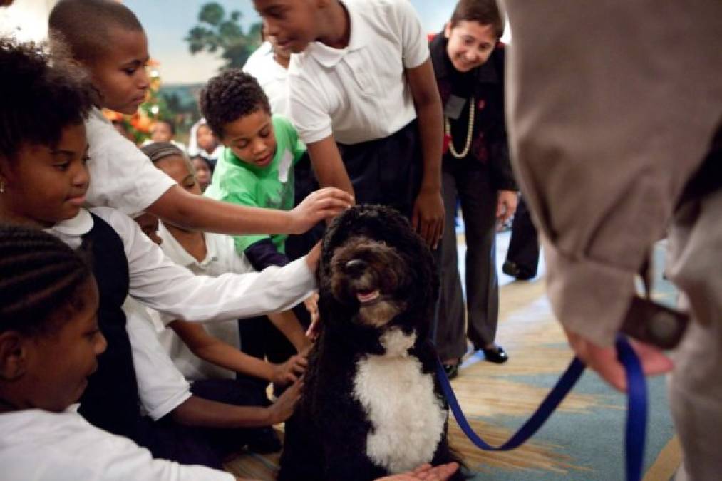 Una de esas imágenes muestra a 'Bo' corriendo con el expresidente dentro de la Casa Blanca y otra retrata al perro sentado mientras se deja acariciar por varios niños.
