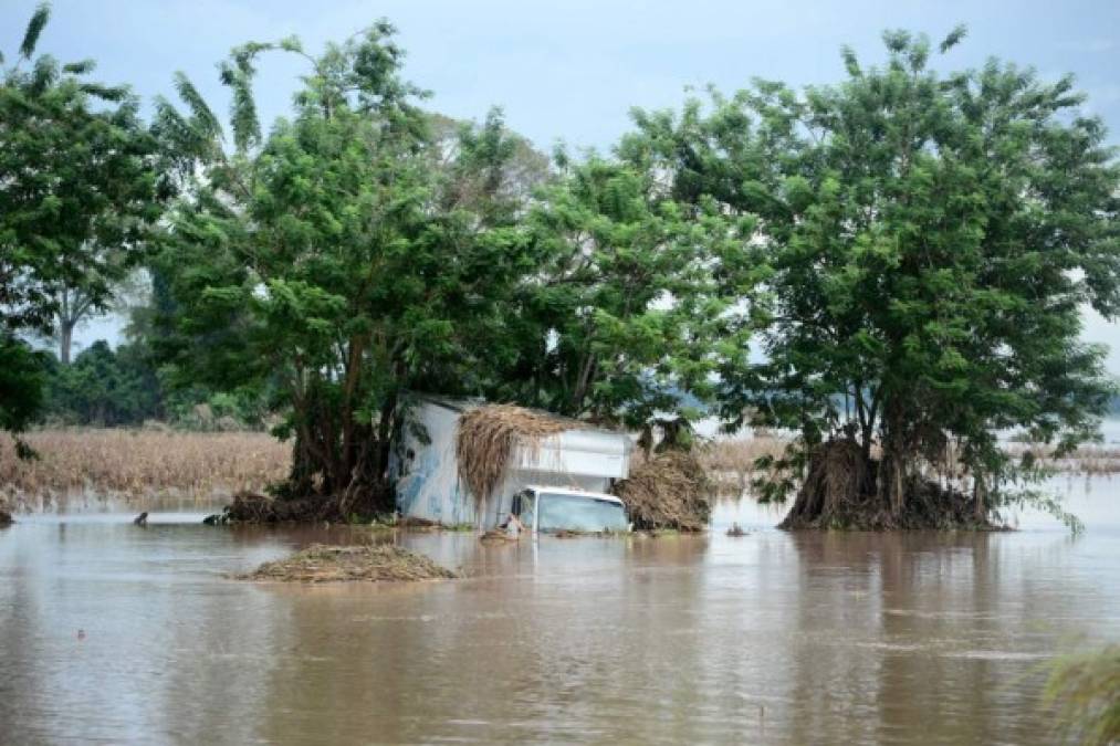 La autopista que conduce de El Progreso, Yoro, al municipio de La Lima, Cortés, sigue interrumpida por las inundaciones dejadas por la tormenta Eta en Honduras.
