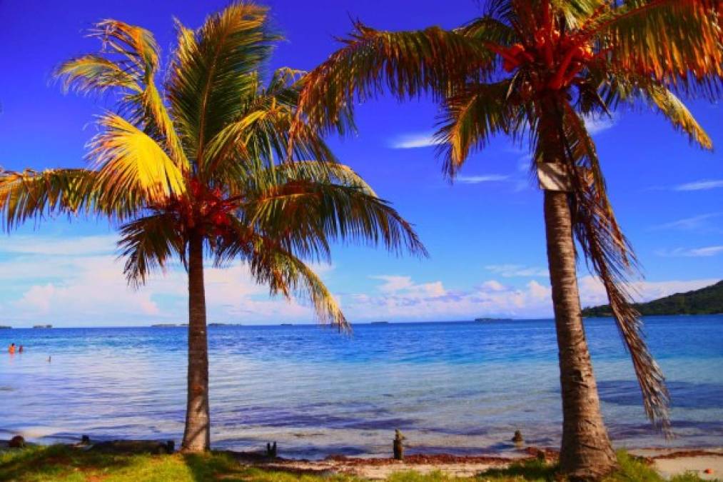 Mangrove Bight Beach, Guanaja<br/>Es una excelente opción para bañar y a la vez conocer el pueblo más nativo de Guanaja, a pocos kilómetros podrá encontrar sitios arqueológicos y paisajes únicos con veredas de pinos.