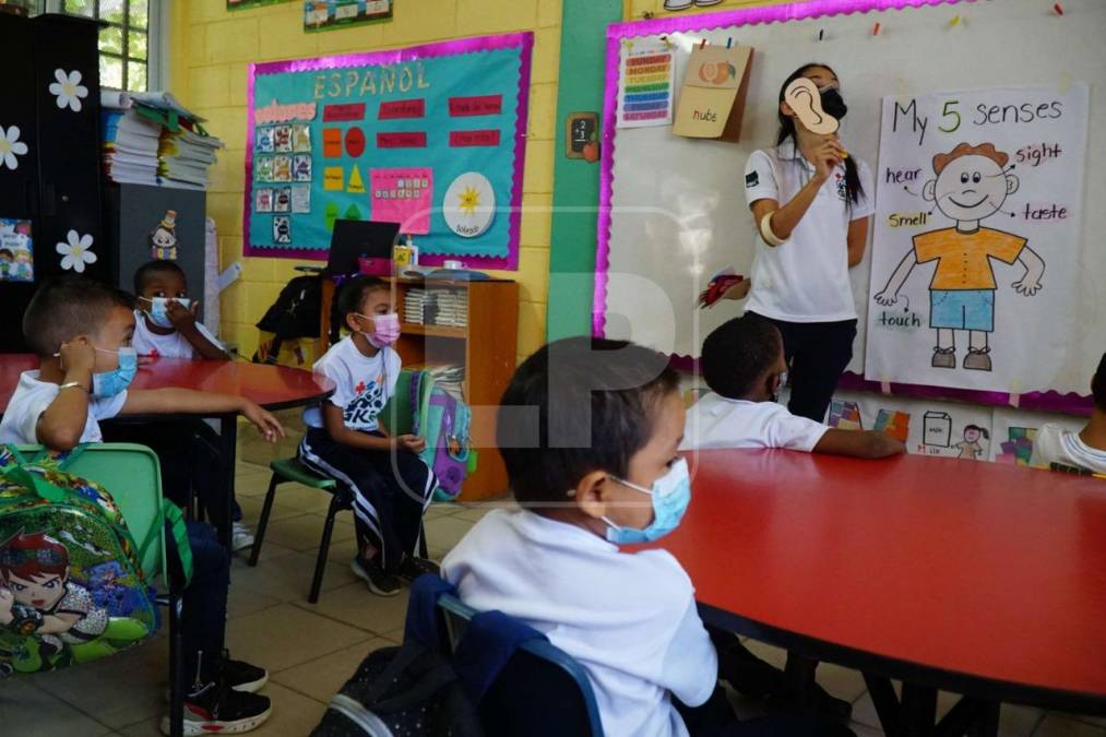 Tras analizar una base de datos de la Secretaría de Educación de Honduras, la Unidad de Investigación y Datos de LA PRENSA Premium concluyó que Cortés, con casi 45,000 estudiantes, y Francisco Morazán, con unos 37,000, son los departamentos con mayor cantidad de alumnos matriculados en centros bilingües.