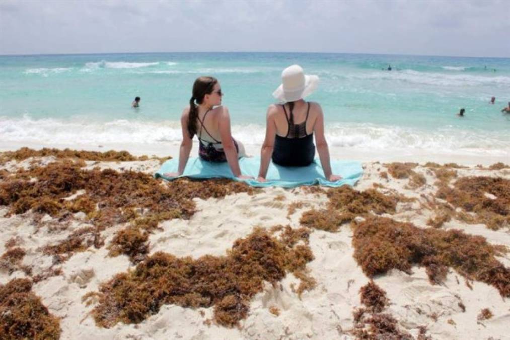 Una plaga de sargazo opaca la belleza de las paradisíaca playas del Caribe mexicano, espantando a los turistas en los destinos más populares de México.