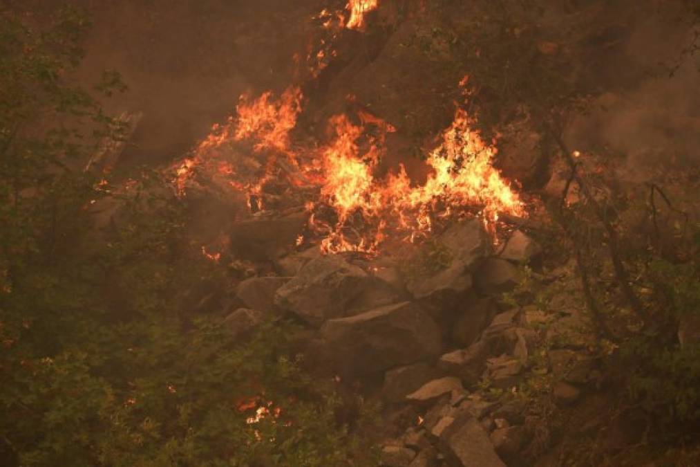 En una rueda de prensa este viernes, el portavoz del Departamento Forestal del estado de Oregón, Marcus Kauffman, informó de que la reducción en la intensidad del viento ha ayudado a los bomberos a contener el fuego en un 40 %.
