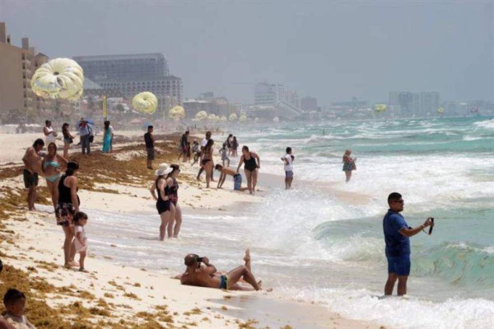 La infestación de estas algas marinas, conocidas como sargazo, afecta unos 1,000 km de playas, desprendiendo un olor fétido y afectando gravemente al ecosistema y el turismo.<br/>