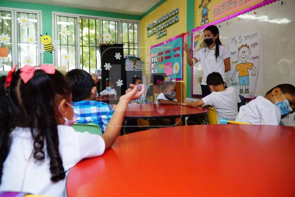 En prebásica hay 44 pequeños aprendiendo dos idiomas, además de su lengua materna, 150 están en básica y 50 en media.Cortés también es el departamento que mayor cobertura tiene, pues casi 14% de sus estudiantes están matriculados en un sistema bilingüe.
