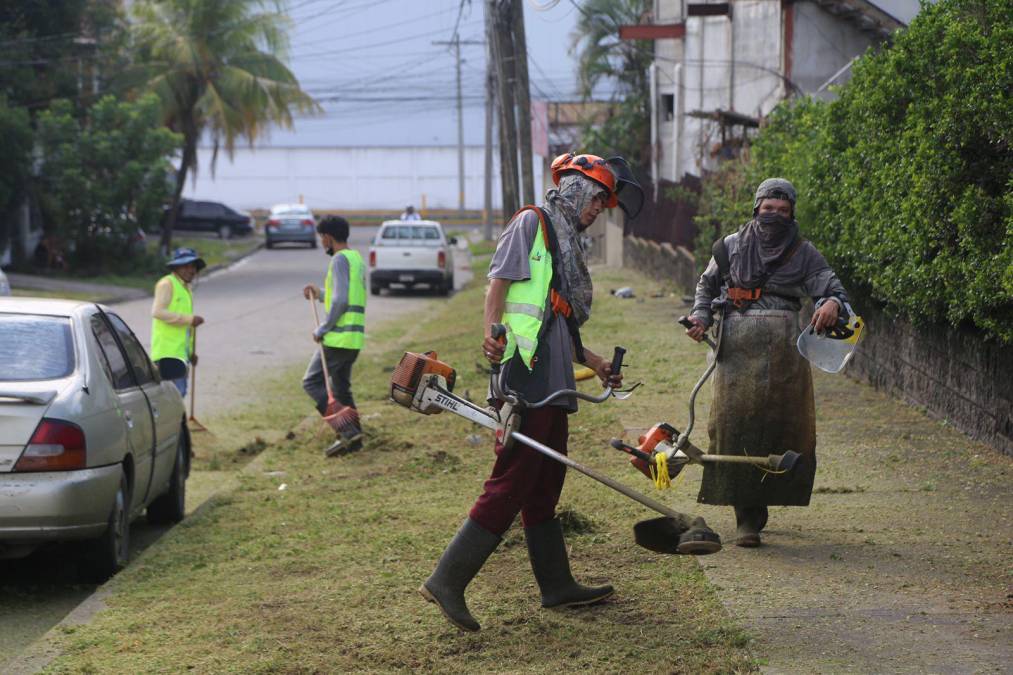 Desde las 8:30 de la mañana hicieron los voluntarios a cortar el césped que había en el exterior de las escuelas. 