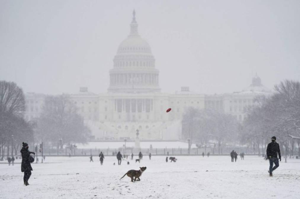 "El temporal ya ha dejado fuertes nevadas, vientos y temperaturas árticas en Chicago y Washington DC."