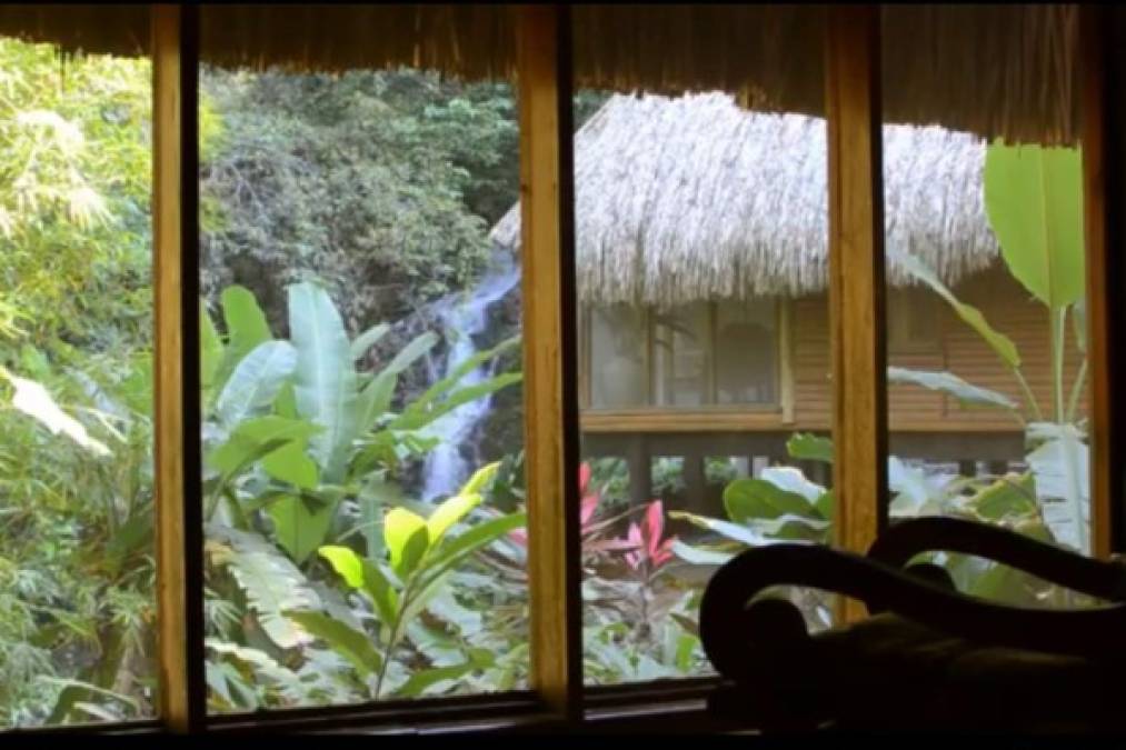 Las Cascadas Lodge - La Ceiba<br/><br/>Para vivir una experiencia natural en Las Cascadas Lodge puedes comunicarte al <br/>9802-7213 o al correo: info@lascascadaslodge.com-