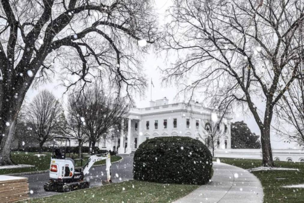'Bestia del Este': Gigantesca tormenta de nieve azota a Nueva York y Washington DC